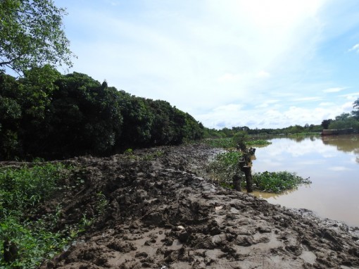 Hạn mặn ảnh hưởng lớn nhất tại ĐBSCL đúng dịp Tết Nguyên đán