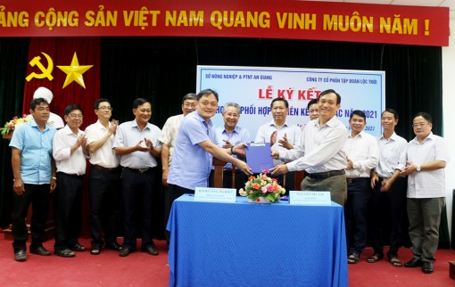 Lộc Trời liên kết tiêu thụ 90.000ha lúa của An Giang năm 2021