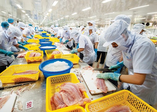 Vực dậy thị trường nội địa, ngành hàng cá tra bớt khó khăn
