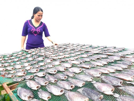 Phụ nữ quê khởi nghiệp từ nghề làm khô