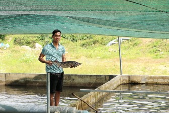 Lâm Đồng: Nông dân trẻ 9X bỏ 7 tỷ xây bể nuôi cá tầm đặc sản, sau bao nhiêu năm thì có lời?