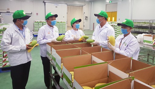 Phó Chủ tịch UBND tỉnh An Giang Trần Anh Thư chúc Tết doanh nghiệp ở Đồng Tháp và Bến Tre
