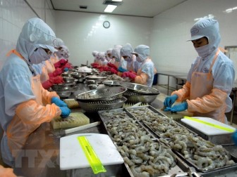 Việt Nam khẳng định cam kết thúc đẩy đàm phán của WTO về trợ cấp thủy sản