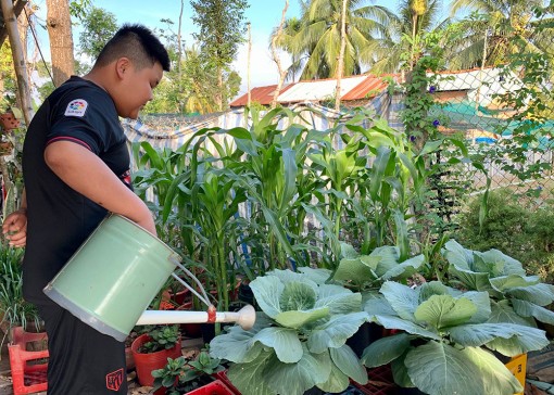 Đưa nông sản vào chậu kiểng