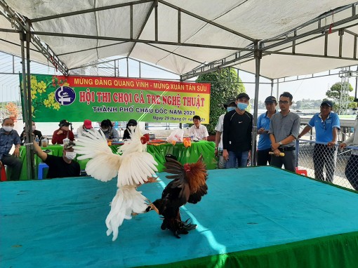 Sôi nổi hội thi chọi gà tre nghệ thuật mừng năm mới