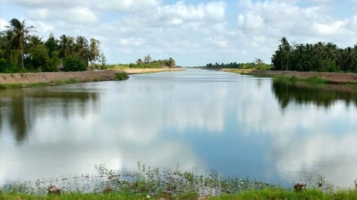 Bến Tre: Xâm nhập mặn dự báo tiếp tục vào sâu hơn 60km