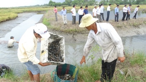 Sẵn sàng kịch bản ứng phó với hạn hán và mặn xâm nhập