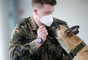 Đức huấn luyện chó đánh hơi chính xác 94% ca mắc COVID-19