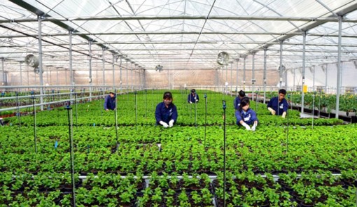 Tháng 1-2021, xuất khẩu nông, lâm, thủy sản ước đạt 3,49 tỷ USD