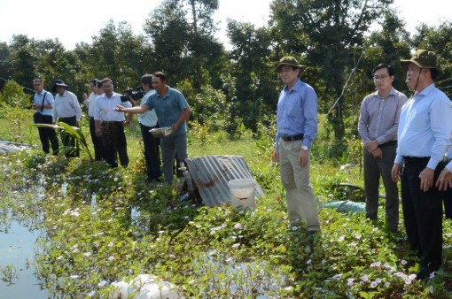 Vui xuân không quên phòng, chống hạn, mặn