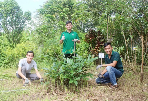 Quản lý vườn thuốc nam bằng hệ thống dữ liệu số