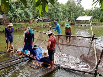 Campuchia tiếp tục cho phép nhập khẩu thủy sản, sản phẩm thủy sản