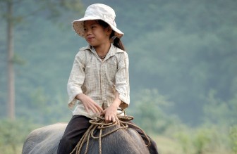 “Đi cày” trong cách ăn nói của người Việt