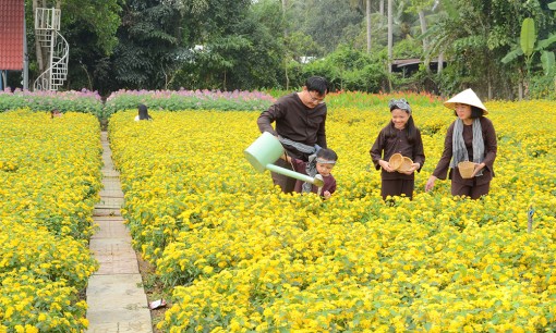 Tiền Giang: Tết này, các vườn hoa có gì mới?