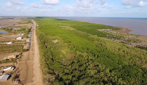 Sóc Trăng vươn lên từ điện gió