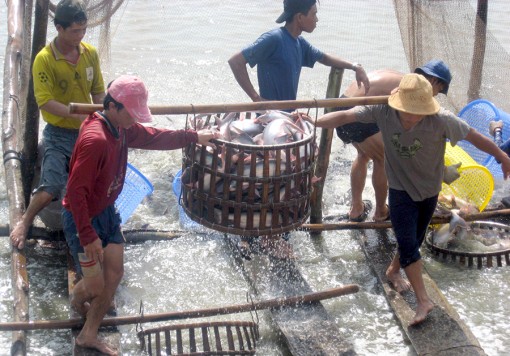 Sắc xuân ở nơi đầu tuyến