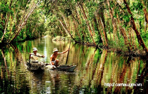 Cà Mau: Lang thang ở cánh đồng hoang đặt trúm lươn đồng, lôi con lươn bự ra khỏi ống có người giật "hết cả hồn"