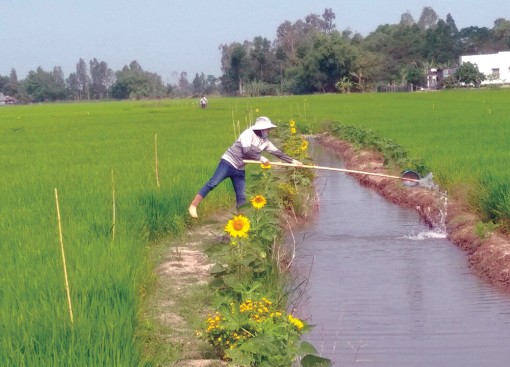 Sản xuất thích ứng với thời tiết