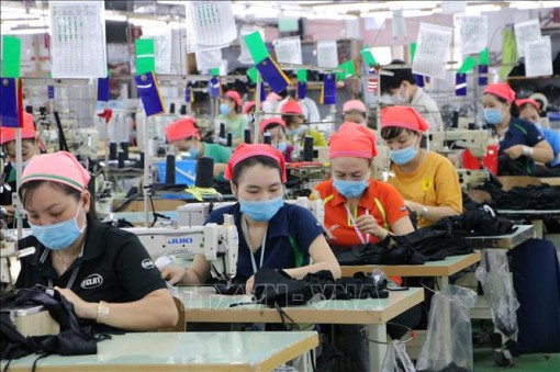 Doanh nghiệp dệt may ra quân sản xuất phù hợp với tình hình mới
