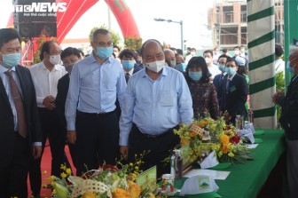 Thủ tướng phát động Tết trồng cây, Phú Yên dự kiến trồng mới 15 triệu cây xanh