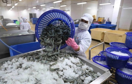 Hoa Kỳ không áp thuế chống bán phá giá tôm xuất khẩu là công bằng