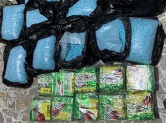 Triệt phá ba vụ vận chuyển ma túy từ Campuchia về Việt Nam