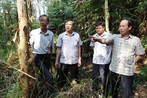 Hậu Giang chủ động phòng, chống cháy rừng mùa khô