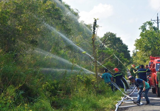 Cà Mau: Tăng cường phòng cháy, chữa cháy rừng