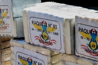 Bắt giữ máy có xuất xứ từ Peru chở gần 380 kg ma túy