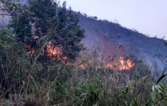 Lai Châu: Cháy rừng tại huyện Tam Đường bùng phát trở lại và lan rộng