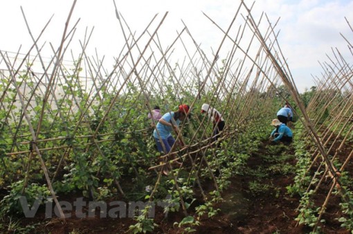 CPI tháng Hai tăng 1,52% và đạt mức cao nhất trong 8 năm qua