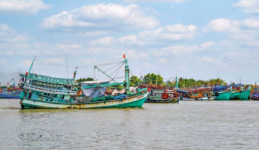 Chuyến biển đầu năm