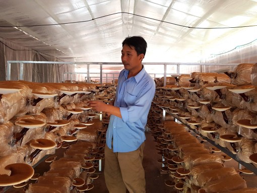 Nhiều kết quả nổi bật trong hoạt động khoa học và công nghệ cấp huyện