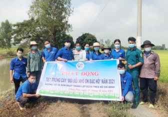 Đoàn viên, thanh niên Châu Phú tham gia hoạt động Tết trồng cây