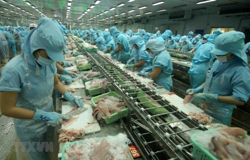 Các giải pháp lâu dài giữ đà tăng trưởng bền vững cho xuất khẩu