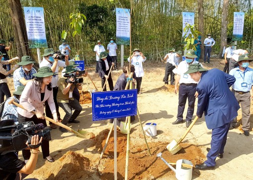 Mùa xuân là Tết trồng cây