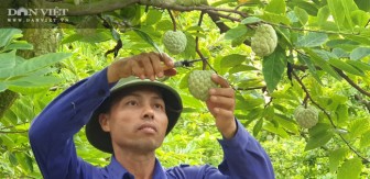 Quảng Ninh tham vọng trở thành hạt nhân ứng dụng nông nghiệp công nghệ cao