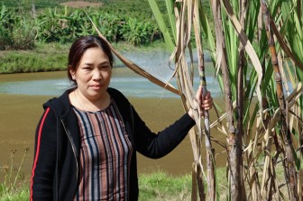 Lâm Đồng: Vợ chồng ông nông dân thành phố này nuôi cá rô phi đơn tính, bắt hàng tấn bán mà thành tỷ phú