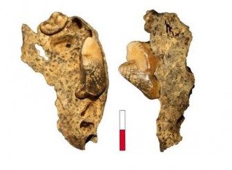 Phát hiện hài cốt "sói biến hình" 16.000 năm trong hang động ở Đức