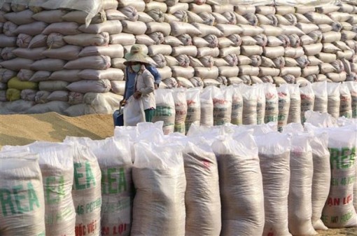 EVFTA - động lực thúc đẩy xuất khẩu sang thị trường Thụy Điển