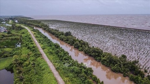 Bảo vệ, khai thác hợp lý tài nguyên nước ở Đồng bằng sông Cửu Long