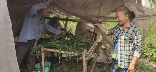 Xóm lao động nghèo đã thoát nghèo