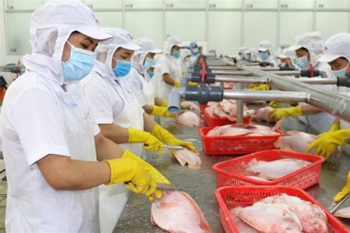 IMF nhận định Việt Nam có nhiều dư địa phục hồi kinh tế sau đại dịch