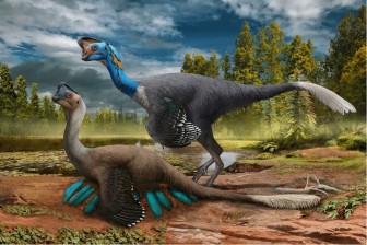 Phát hiện hóa thạch khủng long đang ấp trứng có phôi 70 triệu năm tuổi