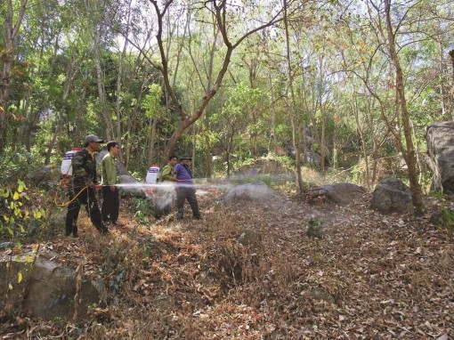 An Giang “Căng mình” bảo vệ rừng mùa khô