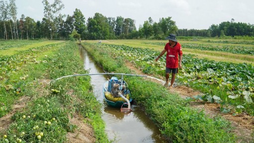 Niềm vui mùa rẫy