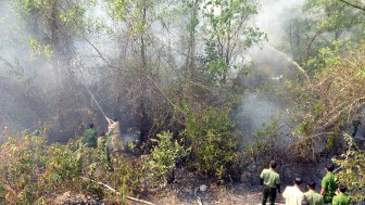Gần 120 người tham gia chữa cháy rừng ở Núi Tô
