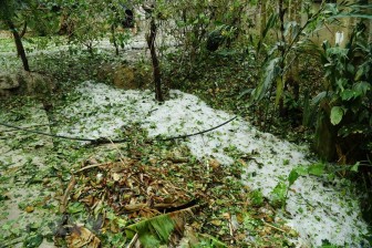 Điện Biên: Mưa đá gây nhiều thiệt hại về nhà cửa, hoa màu