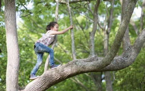 8 nguyên tắc nuôi dạy con gái, đánh bật mọi quan niệm lỗi thời