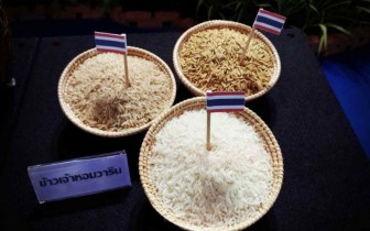 Thái Lan nỗ lực tăng sản lượng gạo xuất khẩu